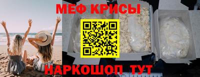 стафф Камышлов