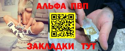 стафф Камышлов