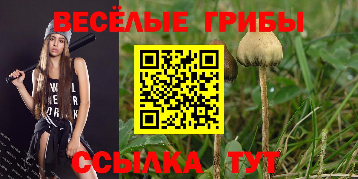 Красноармейск  Псилоцибиновые грибы мухоморы  Вход с VPN  Галлюциногенные грибы мицелий 